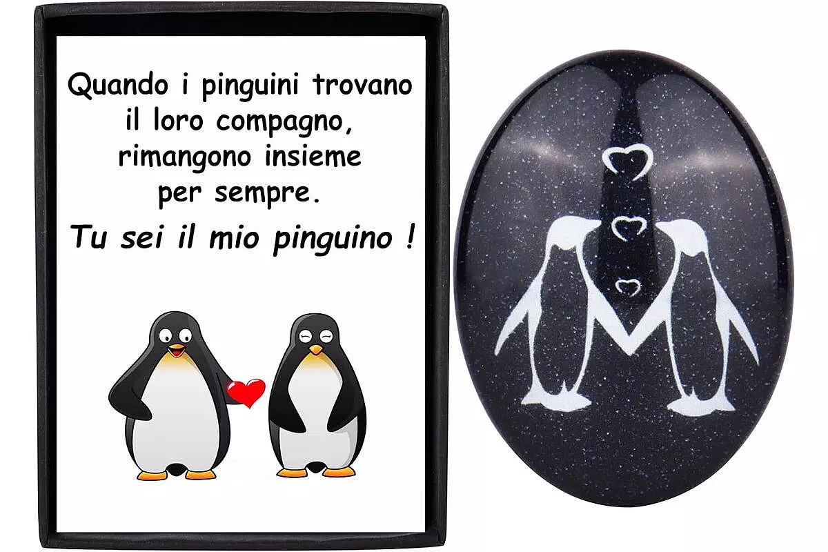 Regalo di San Valentino pietra con due pinguini che si danno la mano
